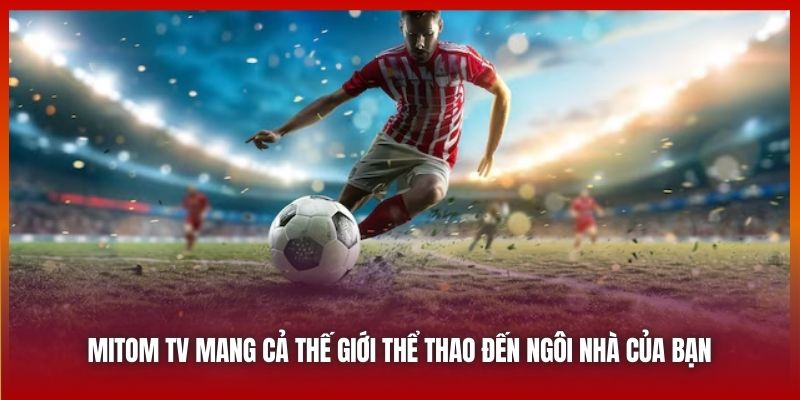 Mitom TV mang cả thế giới thể thao đến ngôi nhà của bạn